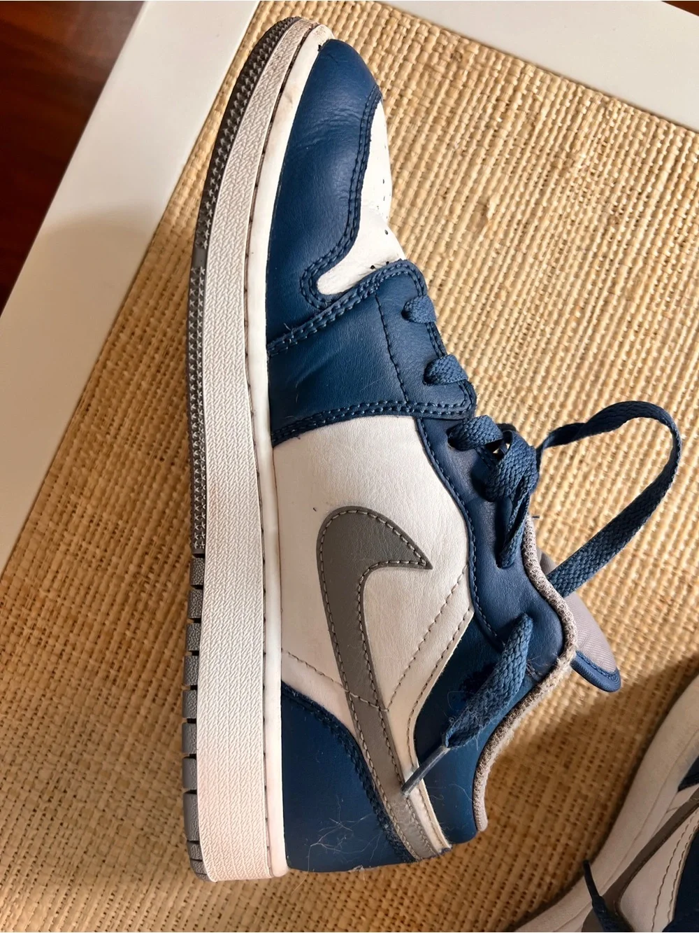 Low Top Sneakers in Navy/White